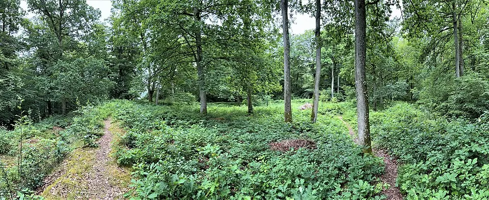 Osby skansar