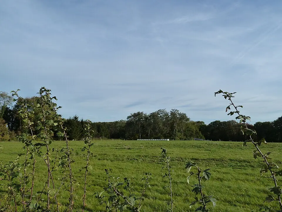 Obrázok: Romaine · CC0 terrein waarin sporen van winning en bewerking van vuursteen op de Heunsberg