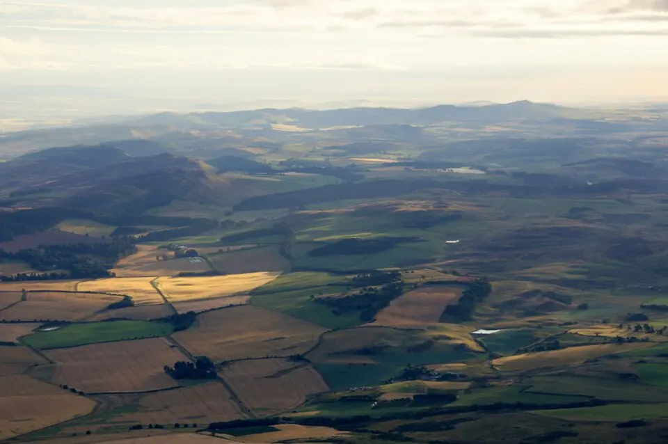 Sidlaws