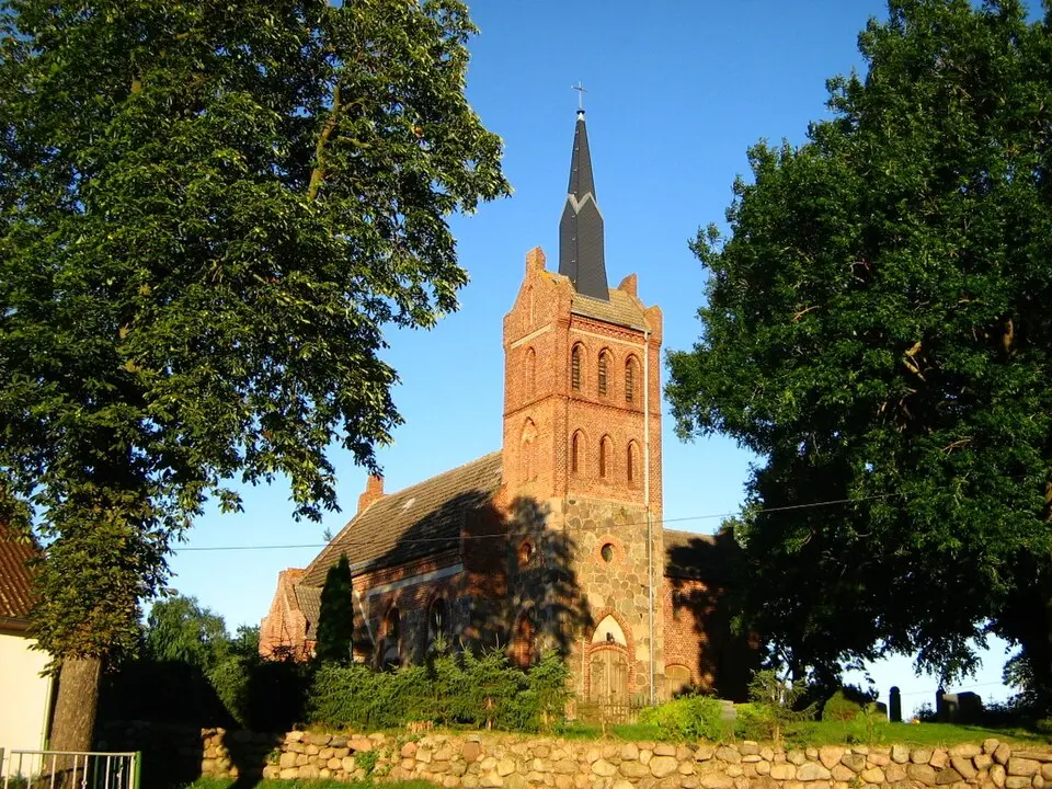 Obrázek: Botaurus stellaris · Public domain Siedenbrünzow