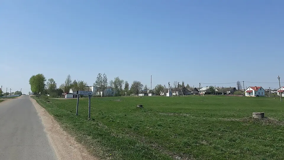 Селеўцы