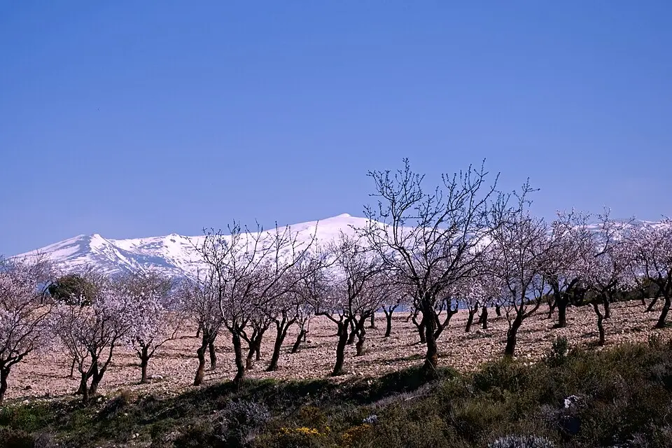 Pico del Caballo