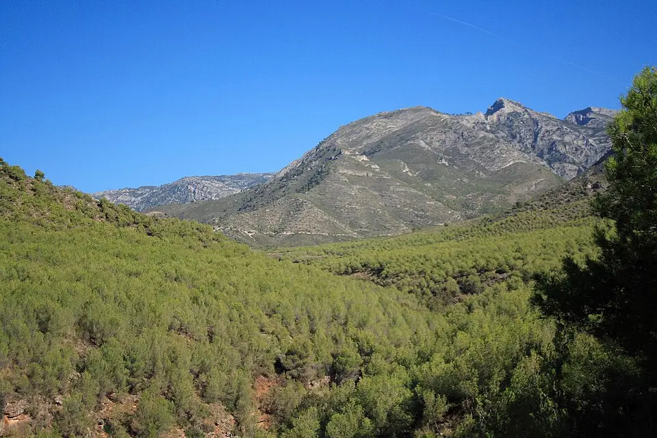 Parque natural de las Sierras de Tejeda, Almijara y Alhama