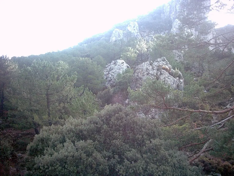 Parc naturel de la Sierra de Huétor