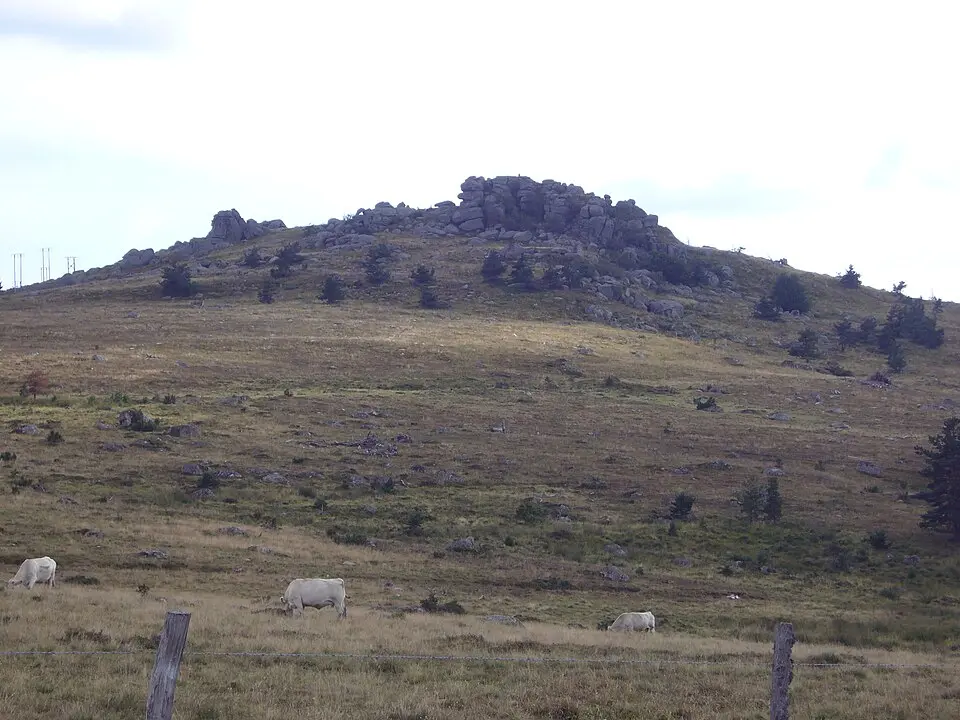 signal de Randon