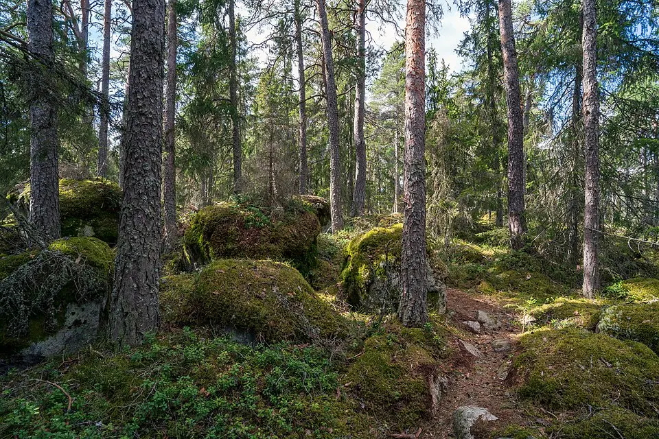 Signalbergets naturreservat
