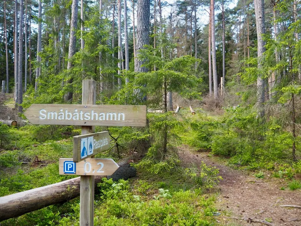 Fageruddsåsen