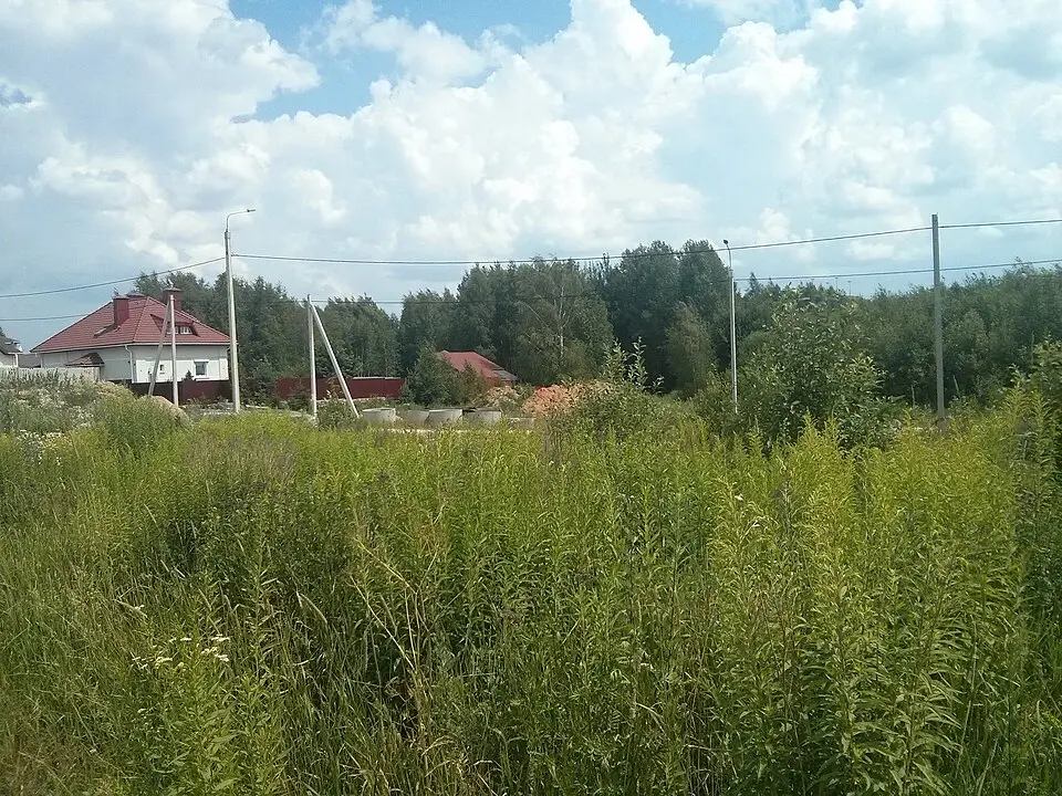 Siličy