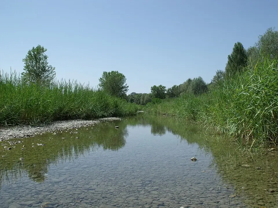Sillaro