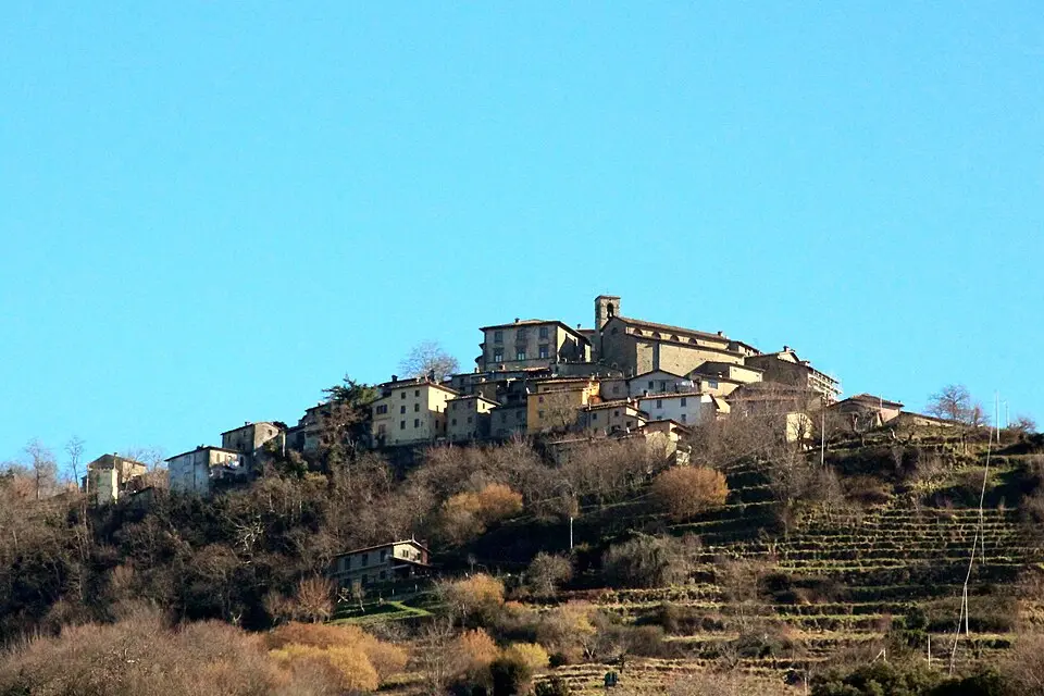 Sillico