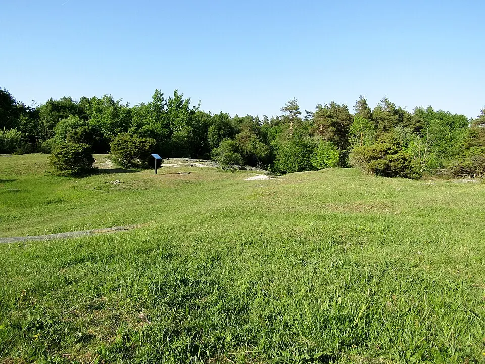 Sillviks naturreservat