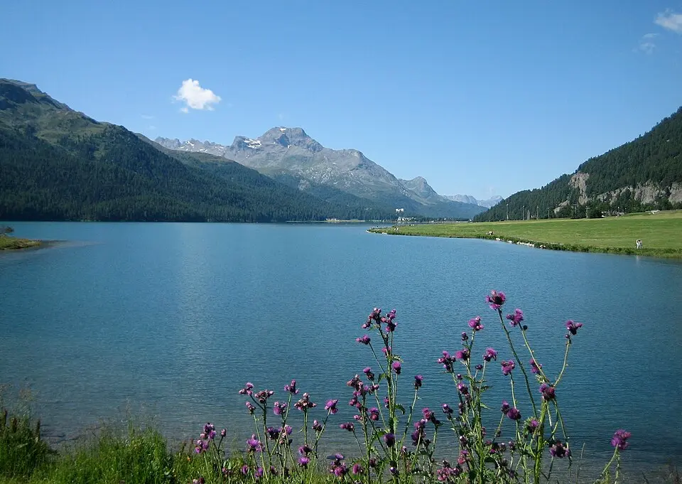 Silvaplanersee