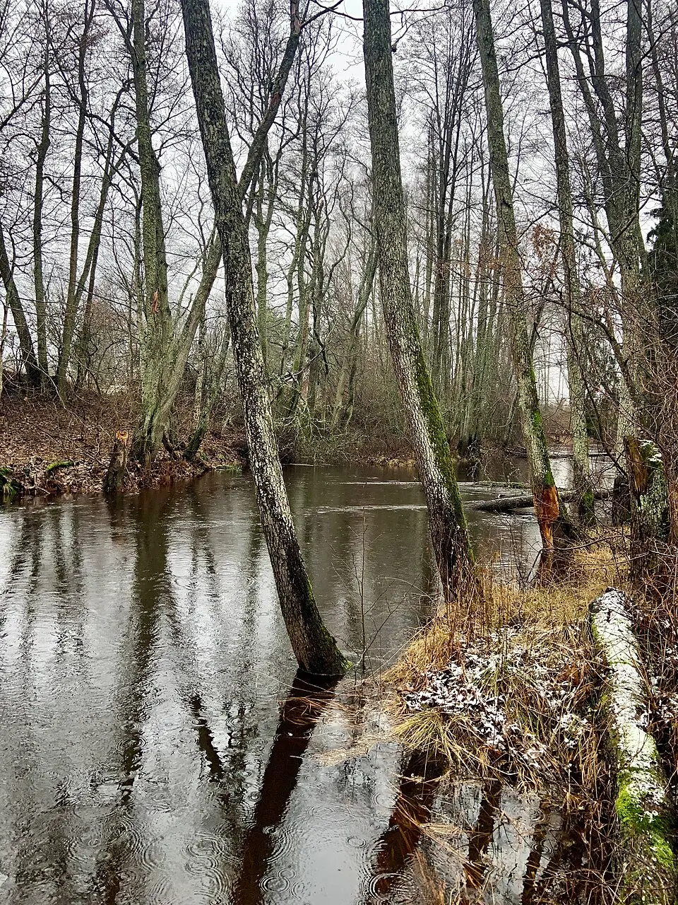 Hulingsryd