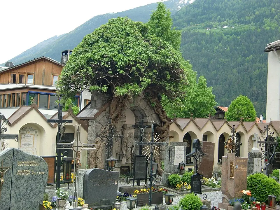 Friedhof
