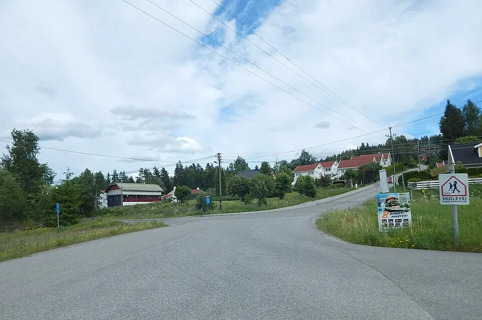 Auli
