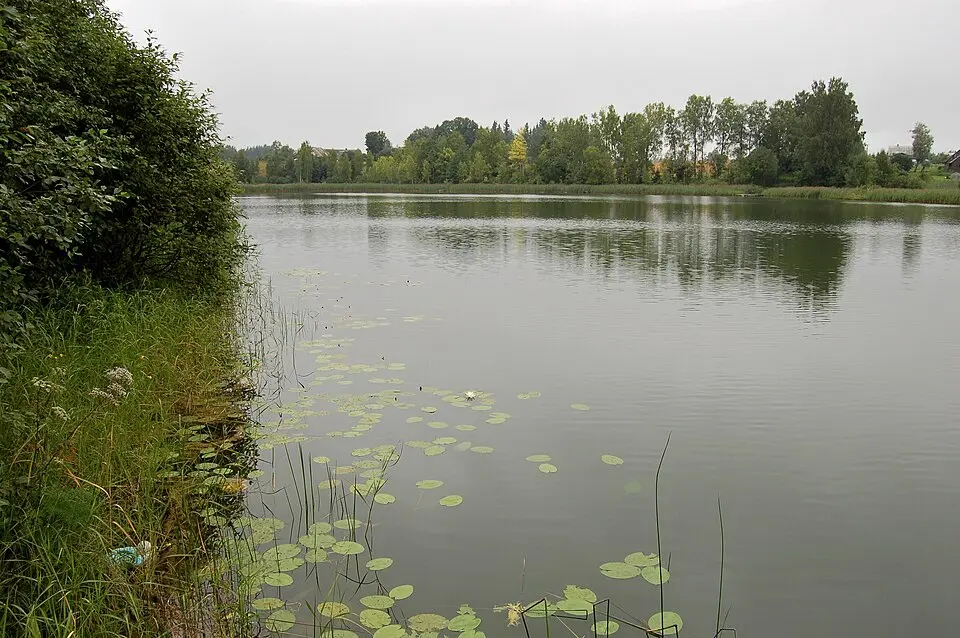 Sinialliku