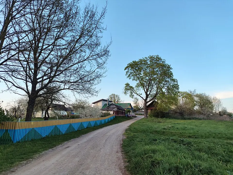 Сінінкі
