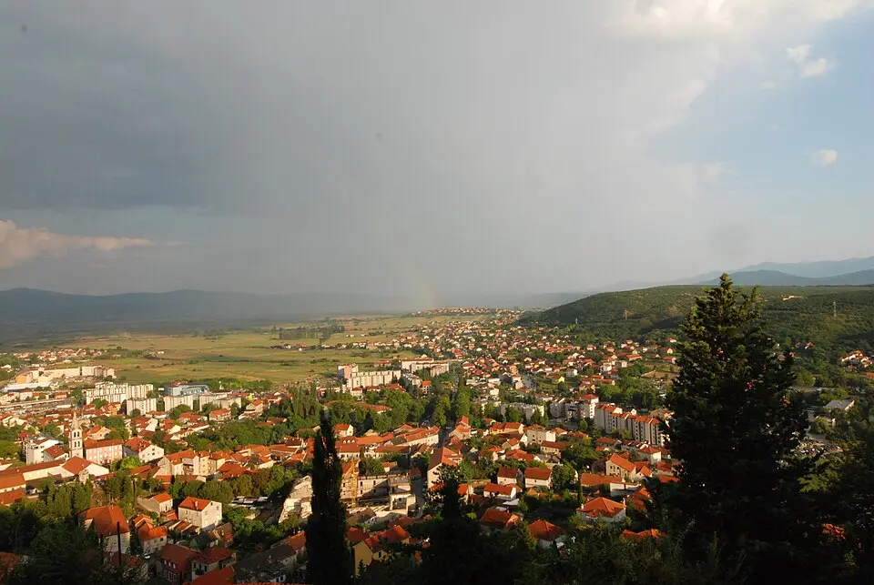 Sinjsko polje