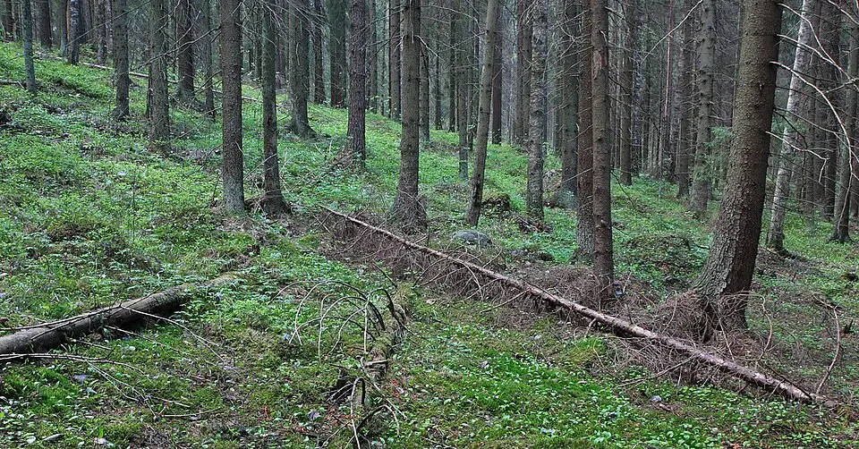 Sipoonkorven kansallispuisto