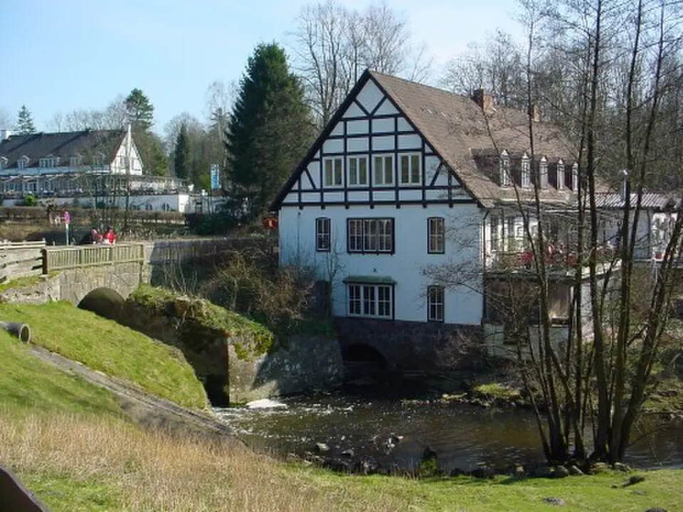 Schwarze Au
