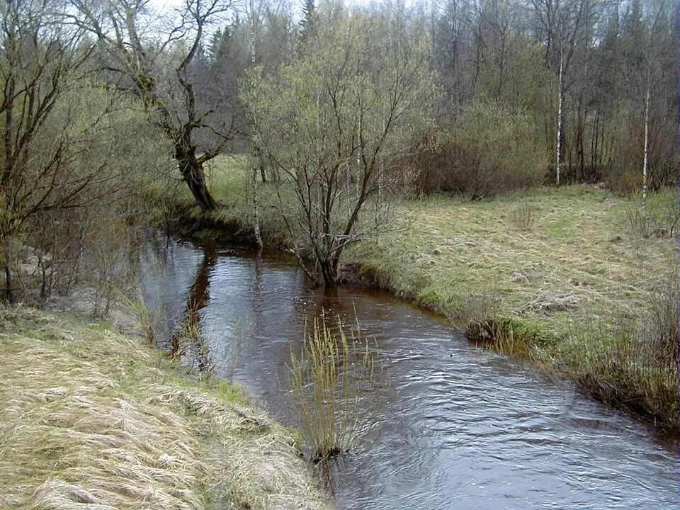 Kubulu