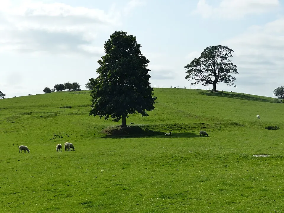 Site of Old Hall