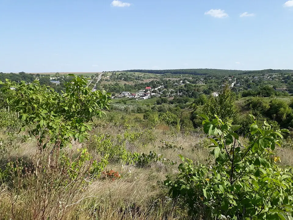 Brănești II settlement