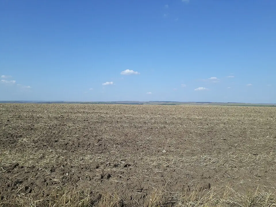 Brănești V settlement
