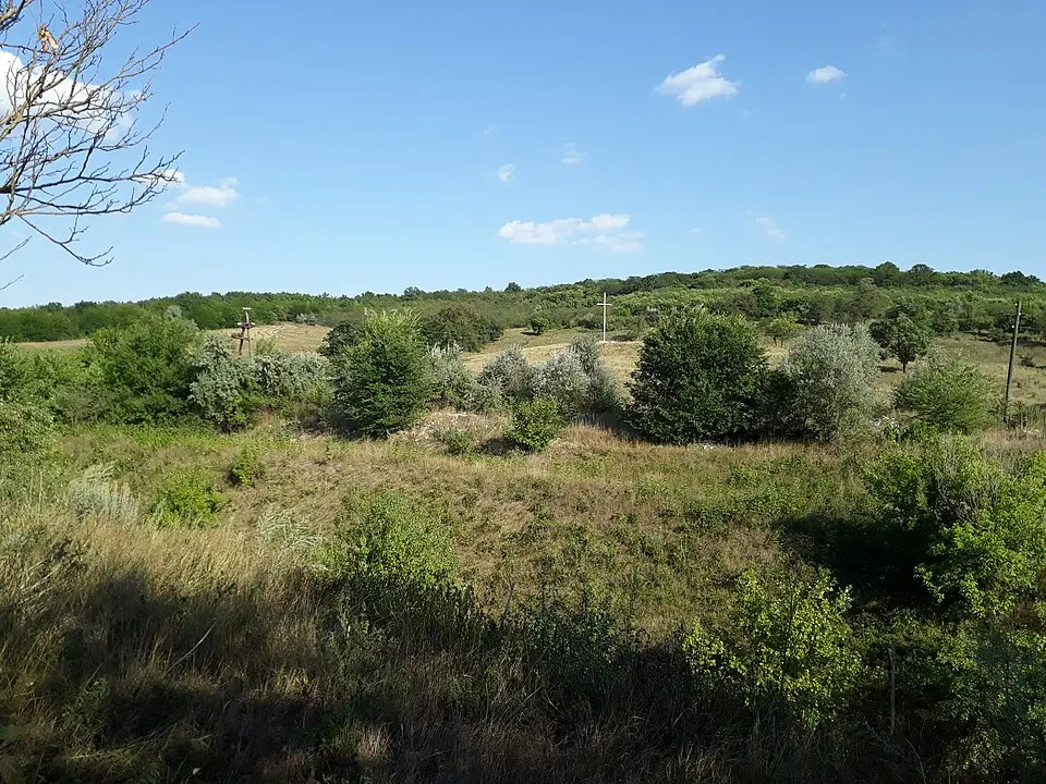 Brănești XV settlement