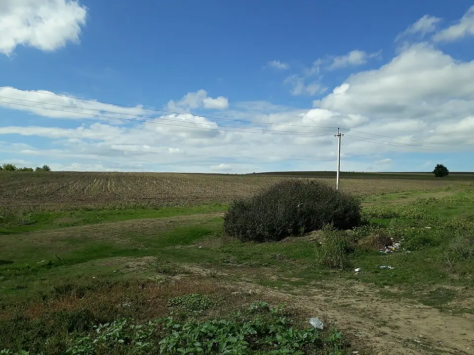 Așezare - Burghelea - II