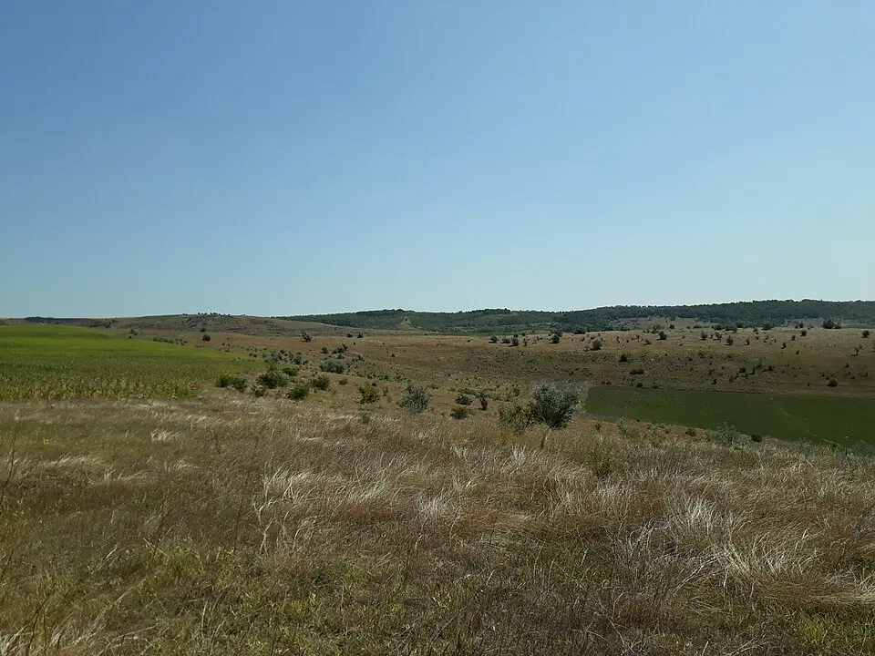 Așezare - Burghelea - VI