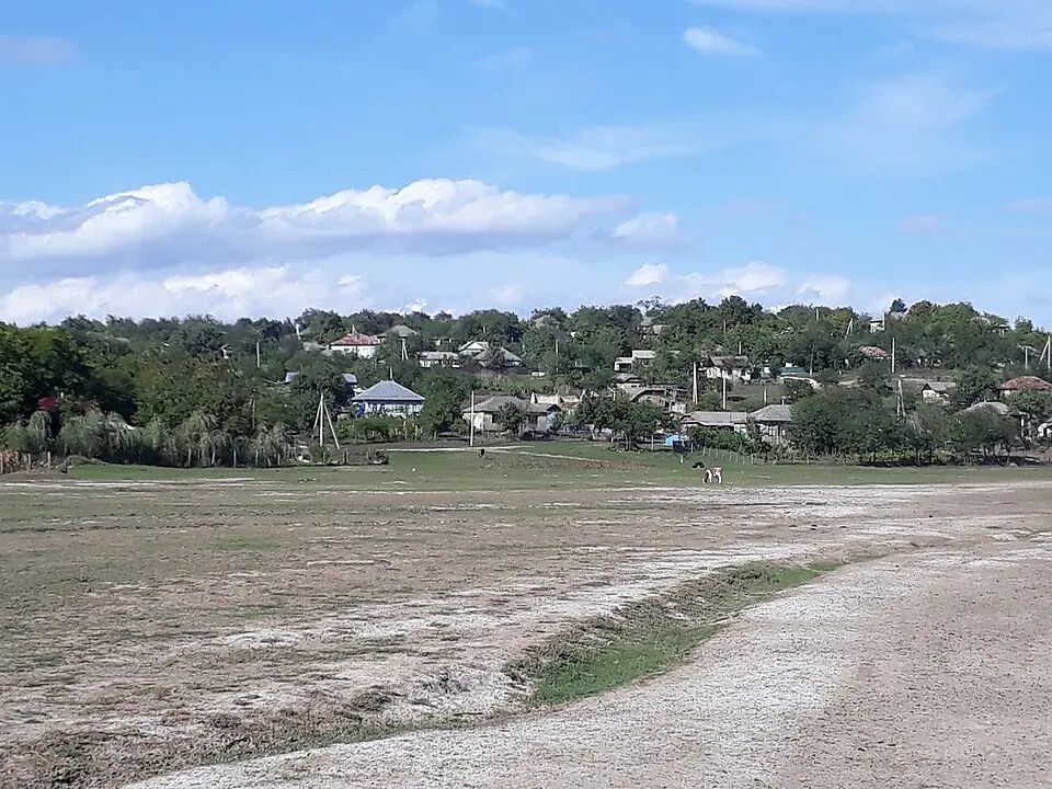 Așezare - Catranîc - II