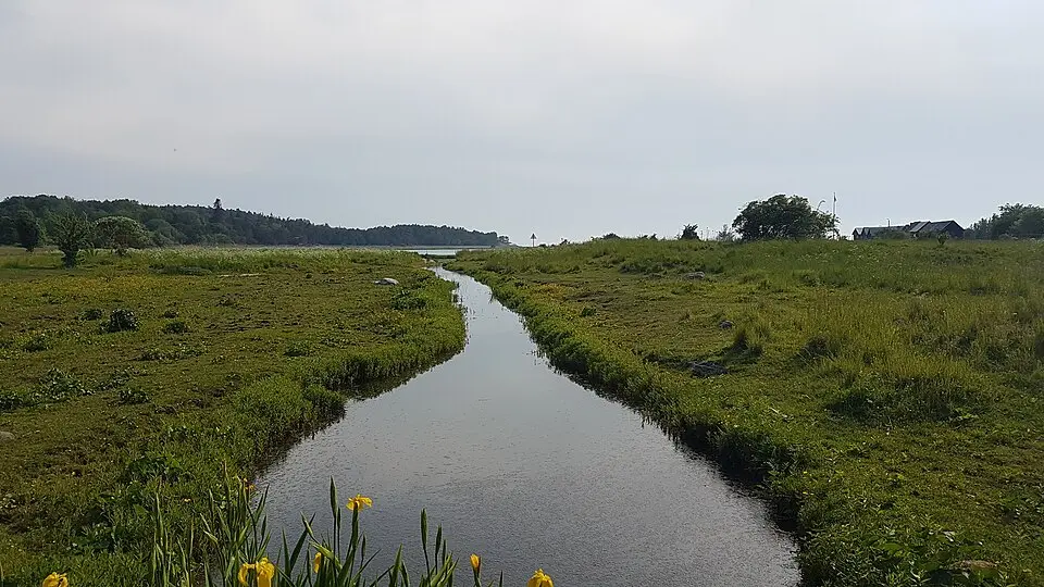 Själsöån