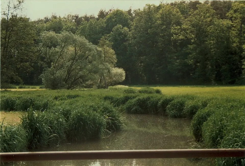 Immagine: Ulrich Rahm (1972-1993), uploaded by: Moros · Public domain Aurach