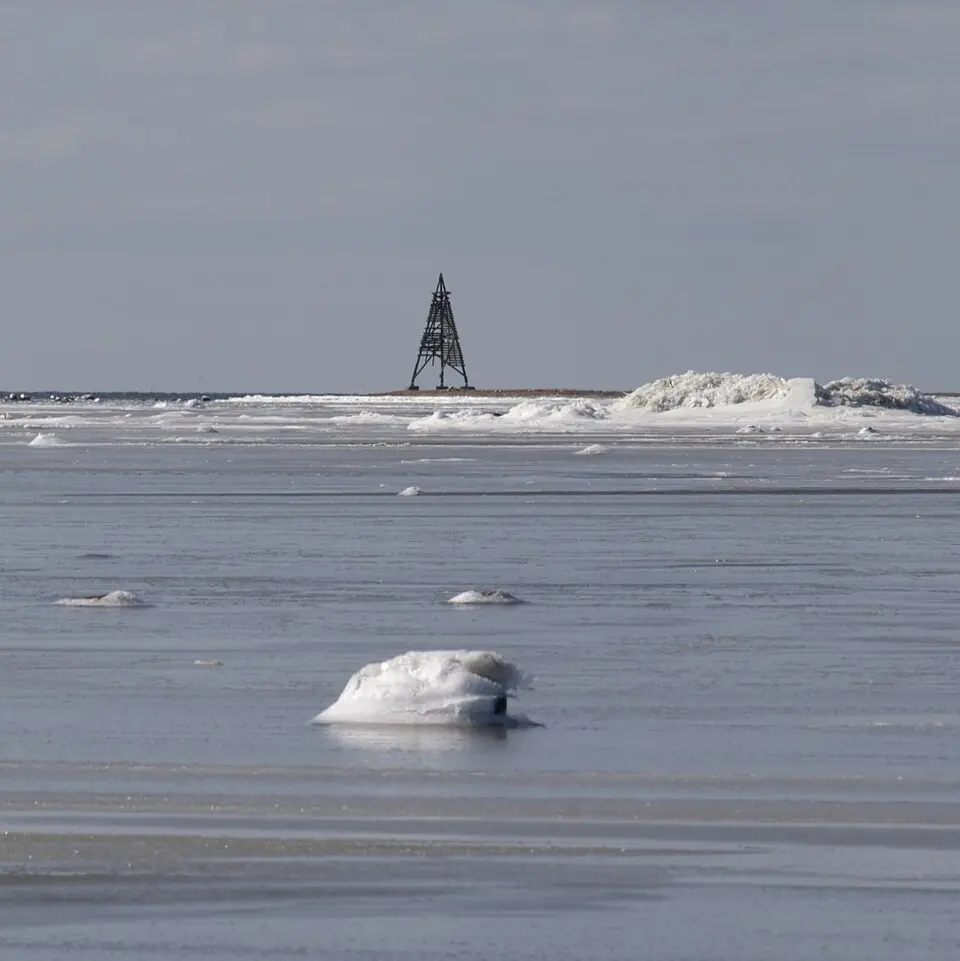 Foteviksområdet
