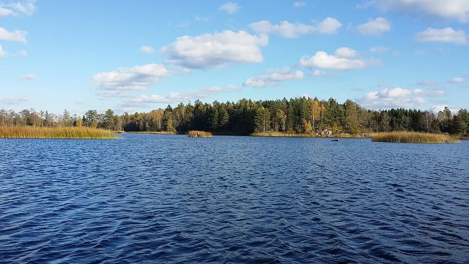 Svanhusskogen