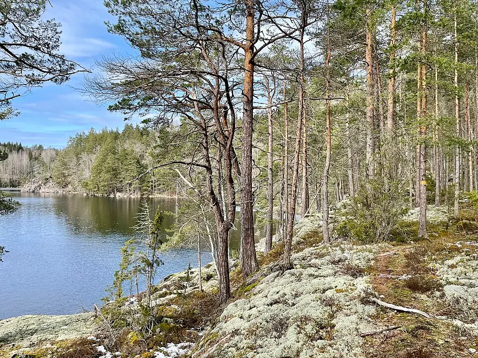 Sjövik