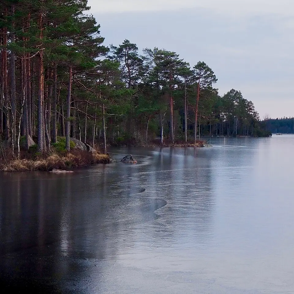 Visjöns naturreservat