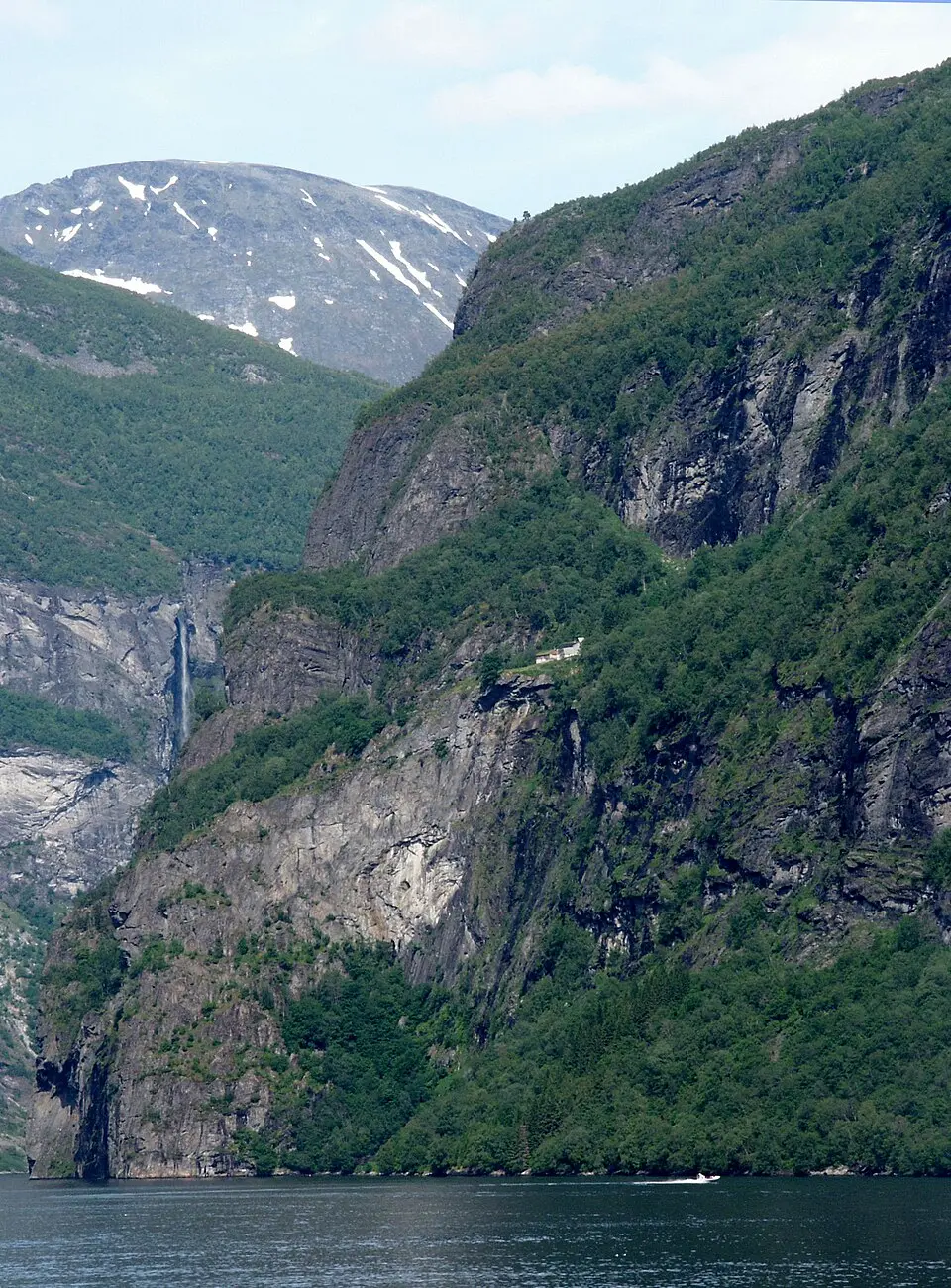 Skageflå