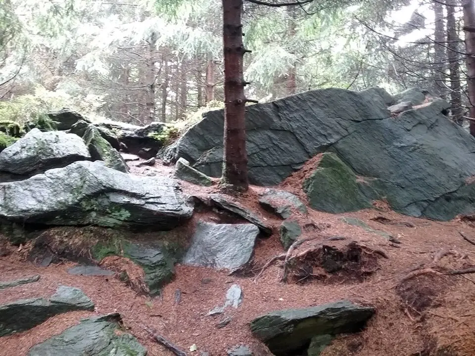 Na skalce