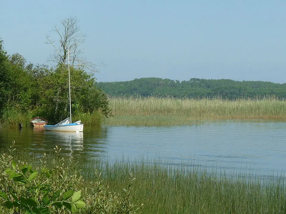 étang d'Aureilhan