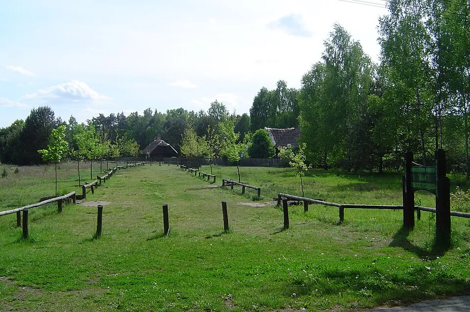 Kampinos