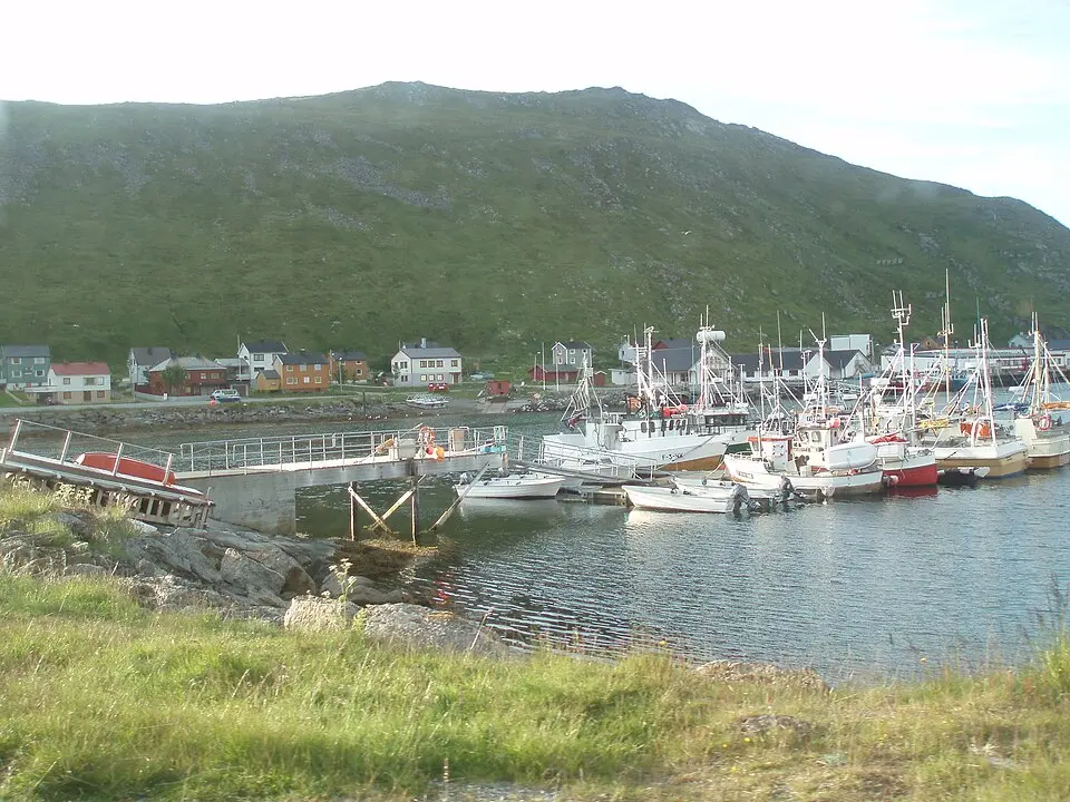 Risfjorden