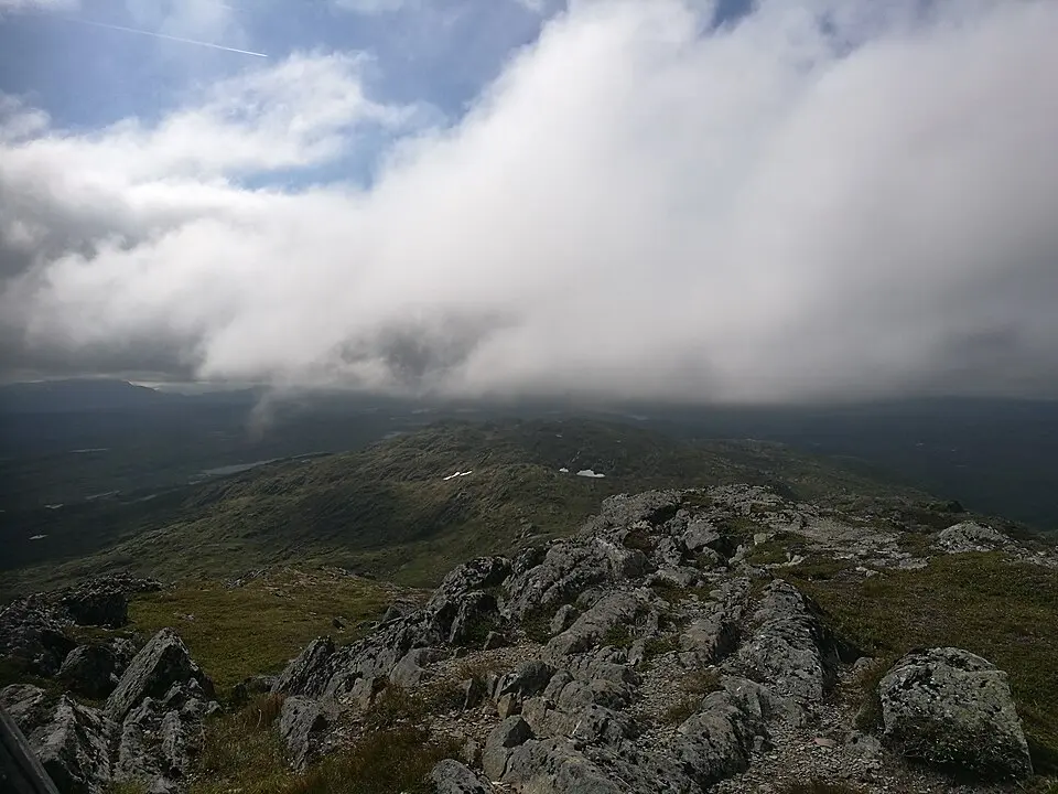 Skåkleiva
