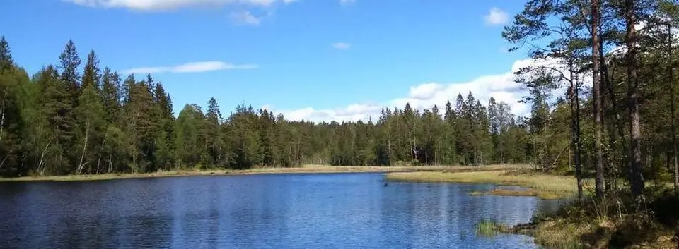 Tretjernhøla