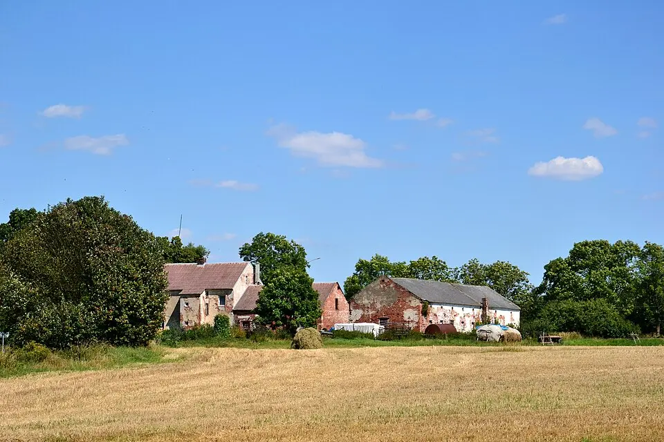 Skřipová
