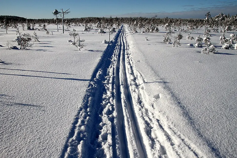 Bredmossen