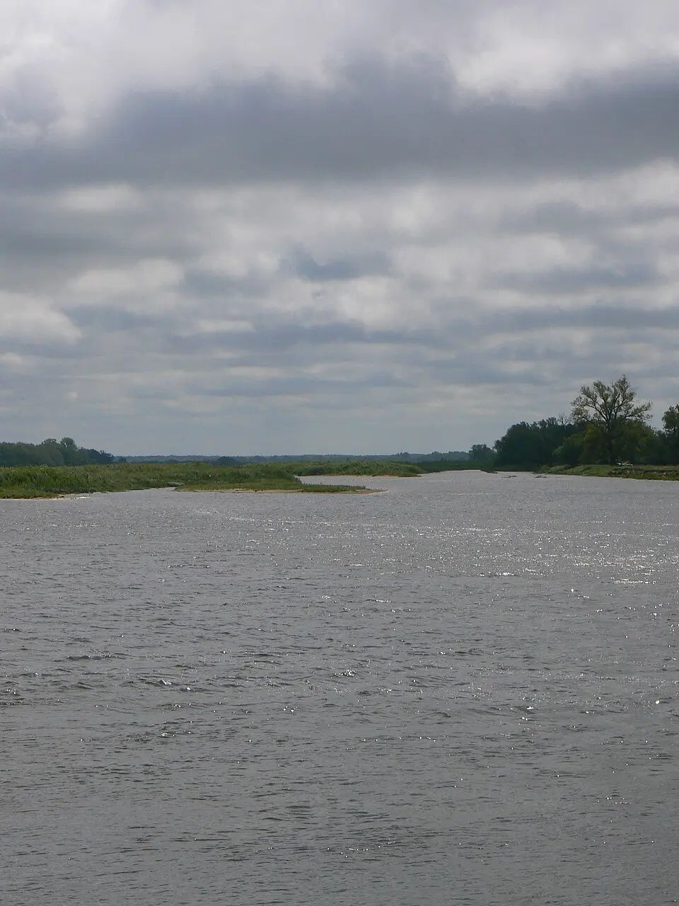 Skirvytė