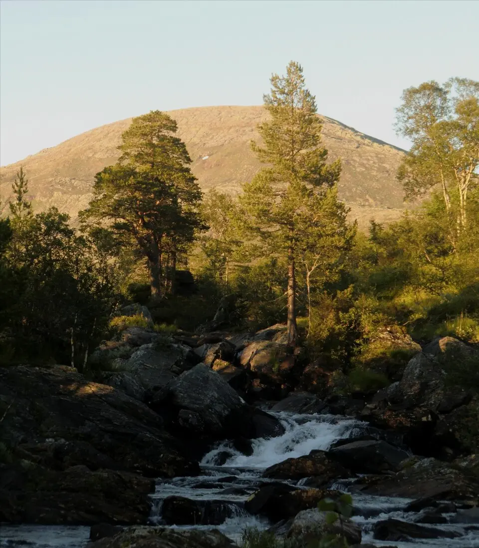 Blåfjella - Skjækerfjella nasjonalpark
