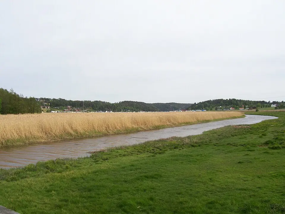 Skjebergkilen naturreservat